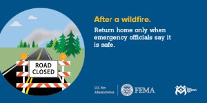 safety_tips_after_a_wildfire.506x253